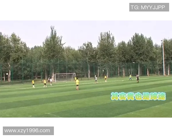 深入浅出足球知识普及助你成为球场小达人 深入浅出足球知识普及助你成为球场小达人