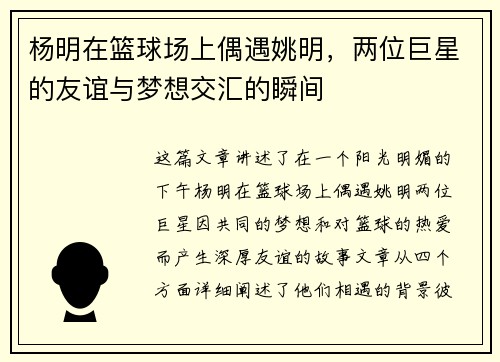 杨明在篮球场上偶遇姚明，两位巨星的友谊与梦想交汇的瞬间