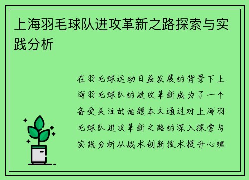 上海羽毛球队进攻革新之路探索与实践分析