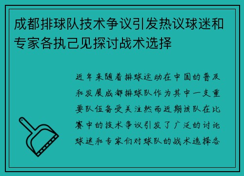 成都排球队技术争议引发热议球迷和专家各执己见探讨战术选择
